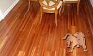 Andiroba (Royal Mahogany)