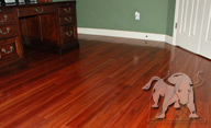 Santos Mahogany